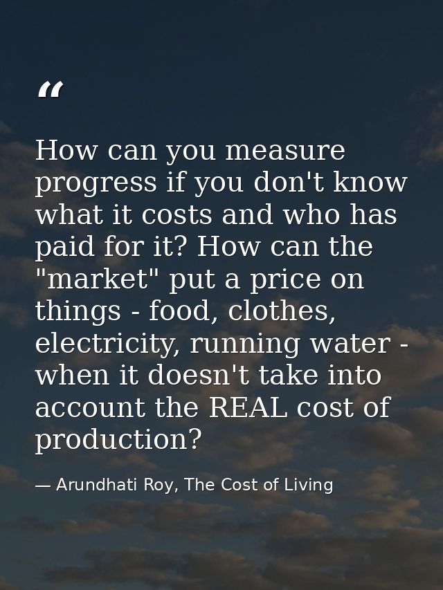 How can you measure progress if you don't know what it costs and who has paid for it? How can the "market" put a price o — Arundhati Roy, The Cost of Living