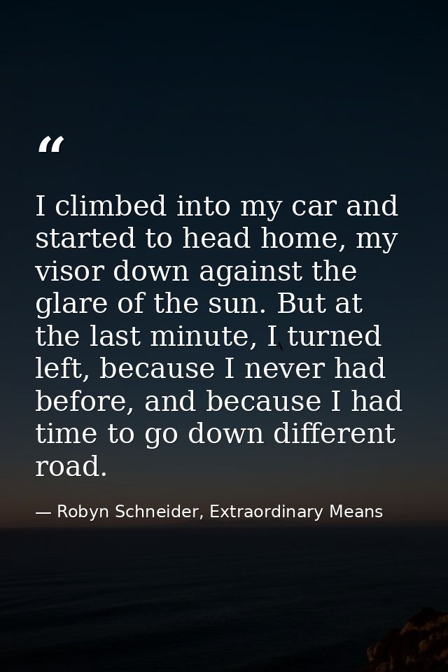 I climbed into my car and started to head home, my visor down against the glare of the sun. But at the last minute, I tu — Robyn Schneider, Extraordinary Means
