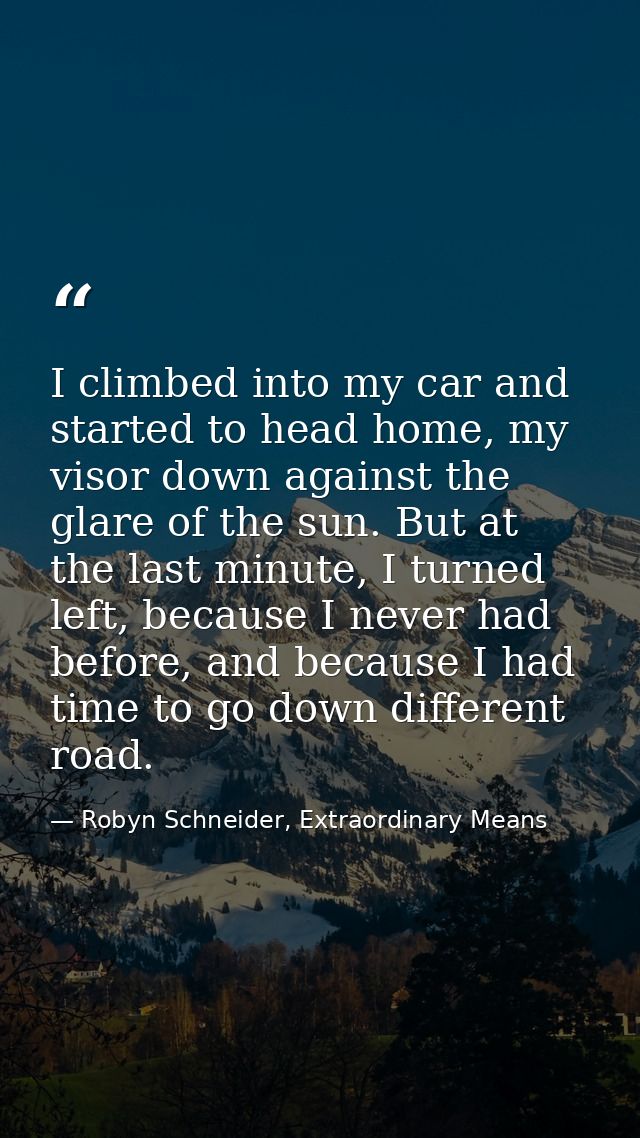 I climbed into my car and started to head home, my visor down against the glare of the sun. But at the last minute, I tu — Robyn Schneider, Extraordinary Means