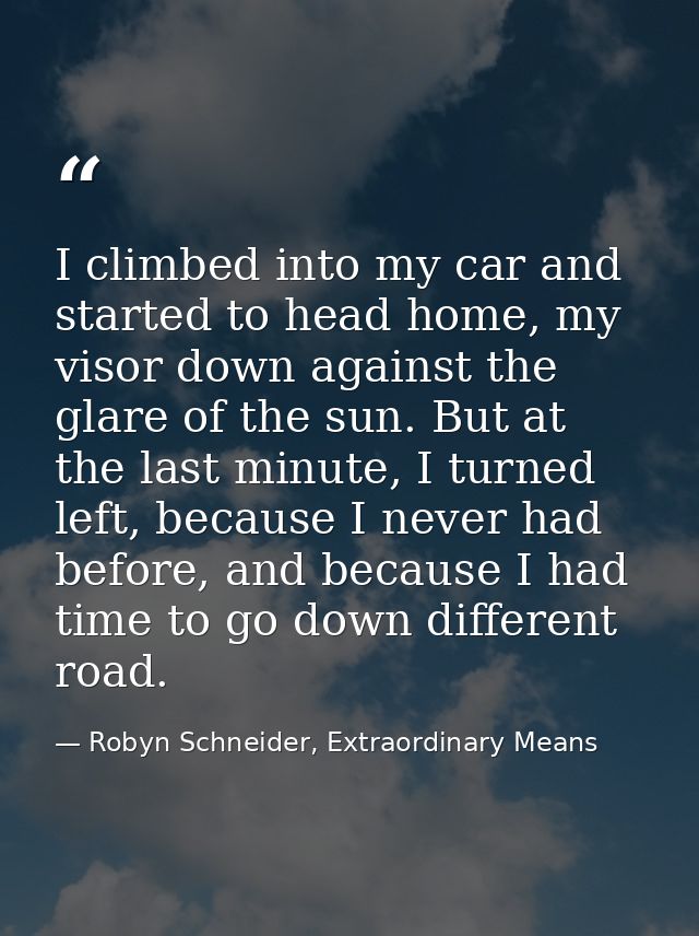 I climbed into my car and started to head home, my visor down against the glare of the sun. But at the last minute, I tu — Robyn Schneider, Extraordinary Means