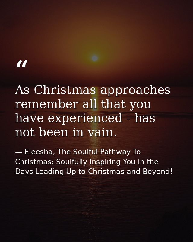 As Christmas approaches remember all that you have experienced - has not been in vain. — Eleesha, The Soulful Pathway To Christmas: Soulfully Inspiring You in the Days Leading Up to Christmas and Beyond!