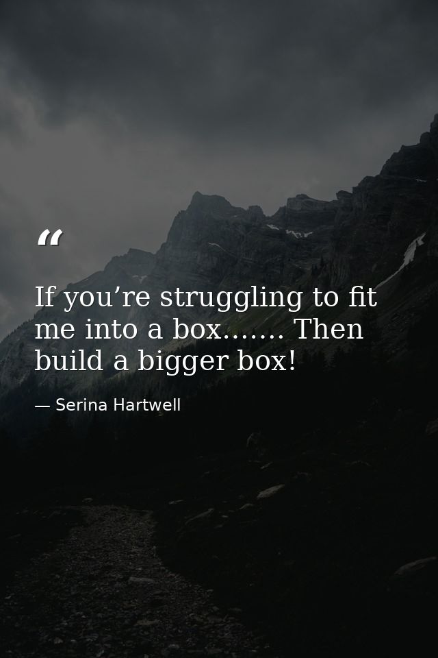 If you’re struggling to fit me into a box……. Then build a bigger box! — Serina Hartwell