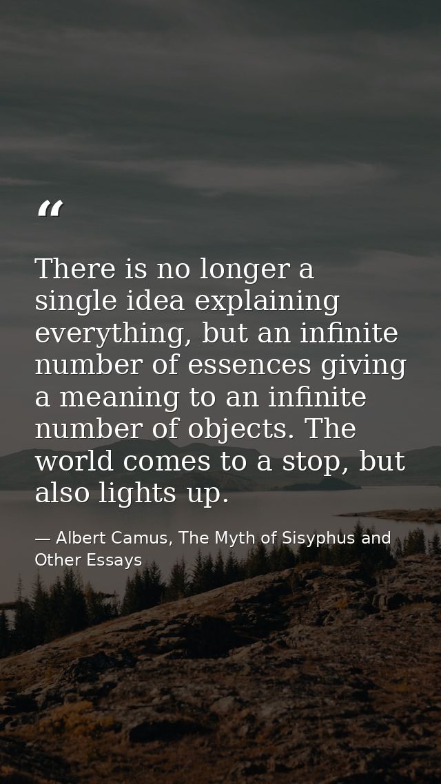 There is no longer a single idea explaining everything, but an infinite number of essences giving a meaning to an infini — Albert Camus, The Myth of Sisyphus and Other Essays