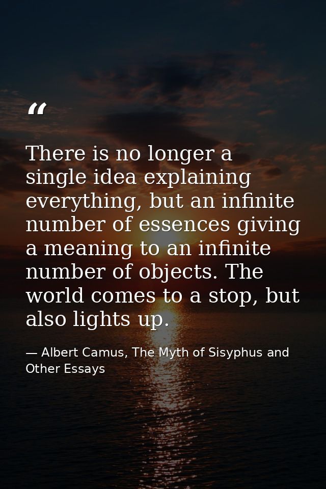 There is no longer a single idea explaining everything, but an infinite number of essences giving a meaning to an infini — Albert Camus, The Myth of Sisyphus and Other Essays