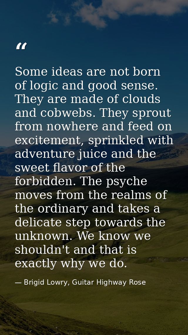 Some ideas are not born of logic and good sense. They are made of clouds and cobwebs. They sprout from nowhere and feed  — Brigid Lowry, Guitar Highway Rose