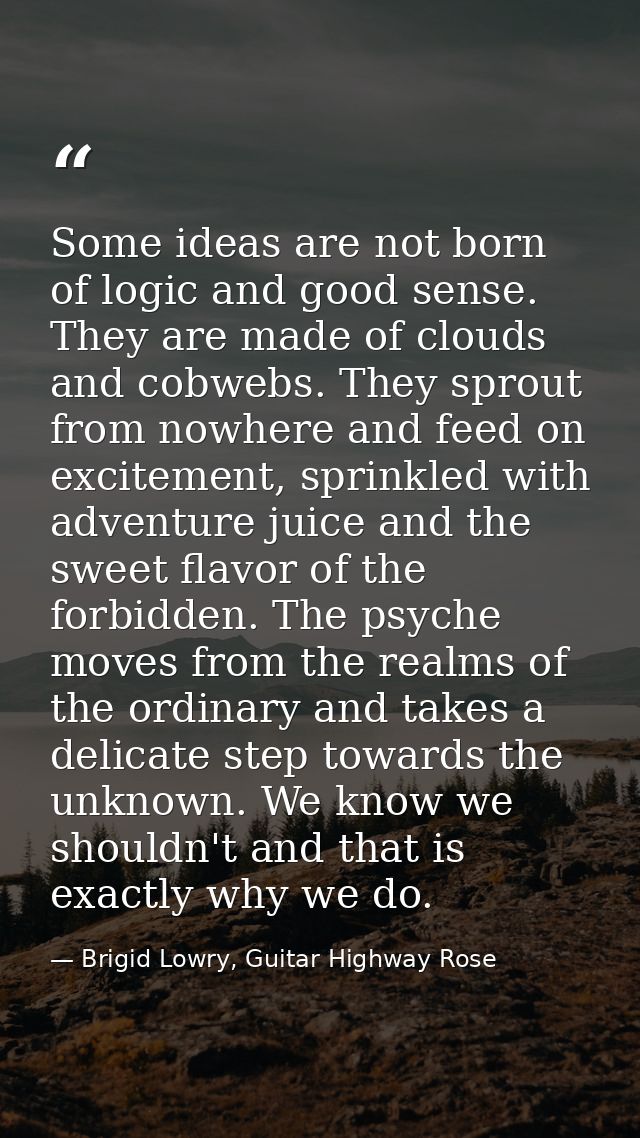 Some ideas are not born of logic and good sense. They are made of clouds and cobwebs. They sprout from nowhere and feed  — Brigid Lowry, Guitar Highway Rose