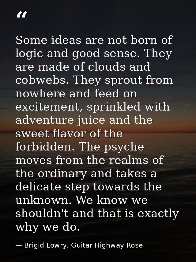 Some ideas are not born of logic and good sense. They are made of clouds and cobwebs. They sprout from nowhere and feed  — Brigid Lowry, Guitar Highway Rose