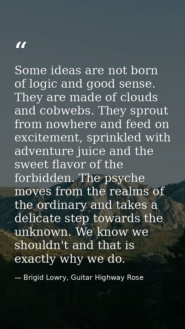 Some ideas are not born of logic and good sense. They are made of clouds and cobwebs. They sprout from nowhere and feed  — Brigid Lowry, Guitar Highway Rose