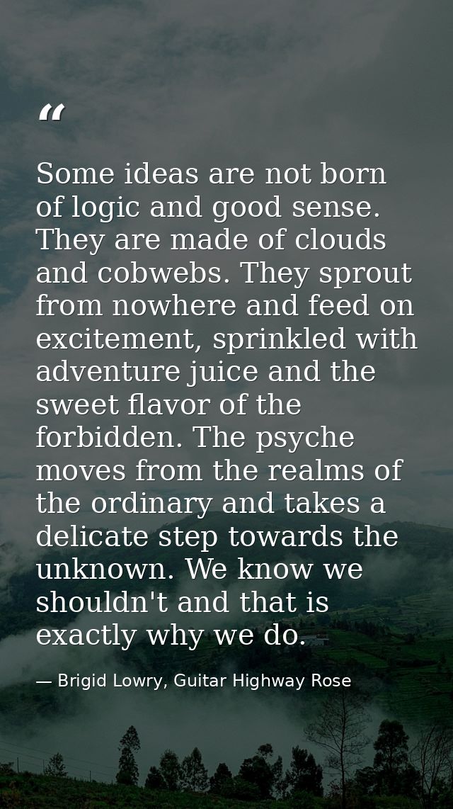 Some ideas are not born of logic and good sense. They are made of clouds and cobwebs. They sprout from nowhere and feed  — Brigid Lowry, Guitar Highway Rose
