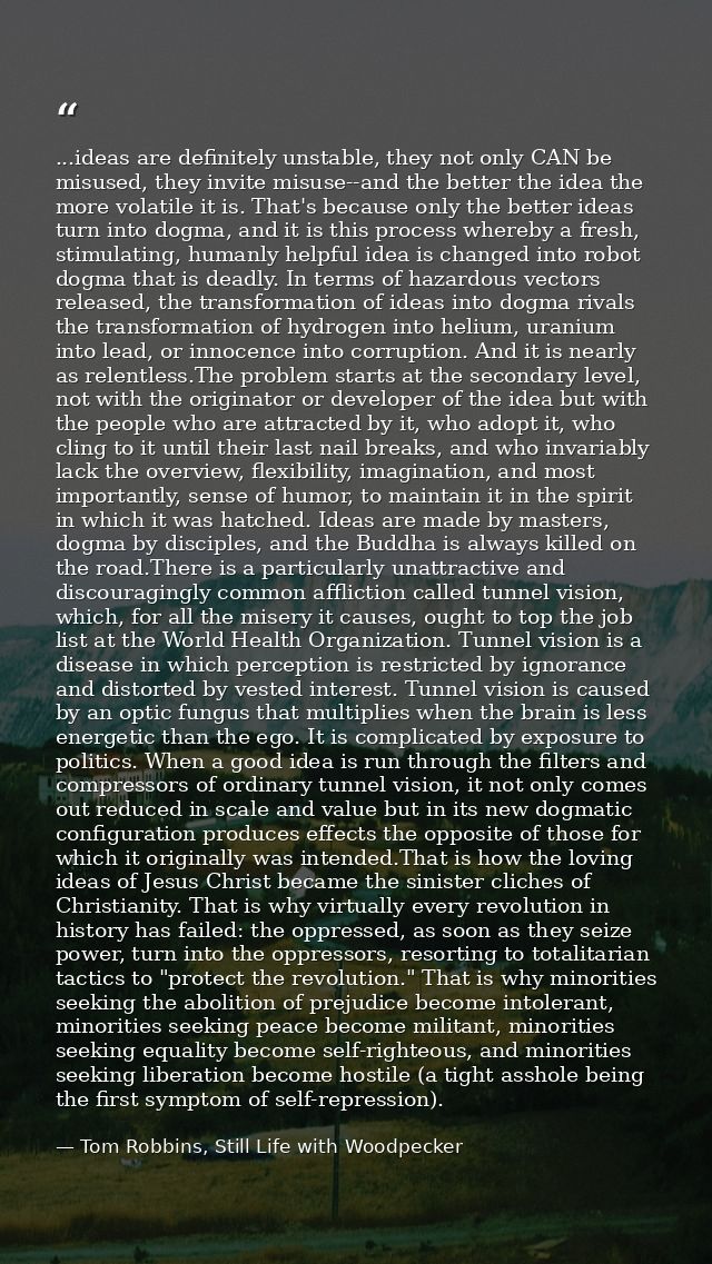 ...ideas are definitely unstable, they not only CAN be misused, they invite misuse--and the better the idea the more vol — Tom Robbins, Still Life with Woodpecker