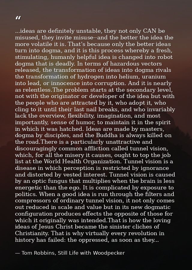 ...ideas are definitely unstable, they not only CAN be misused, they invite misuse--and the better the idea the more vol — Tom Robbins, Still Life with Woodpecker
