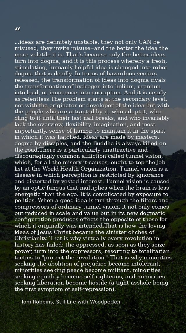 ...ideas are definitely unstable, they not only CAN be misused, they invite misuse--and the better the idea the more vol — Tom Robbins, Still Life with Woodpecker