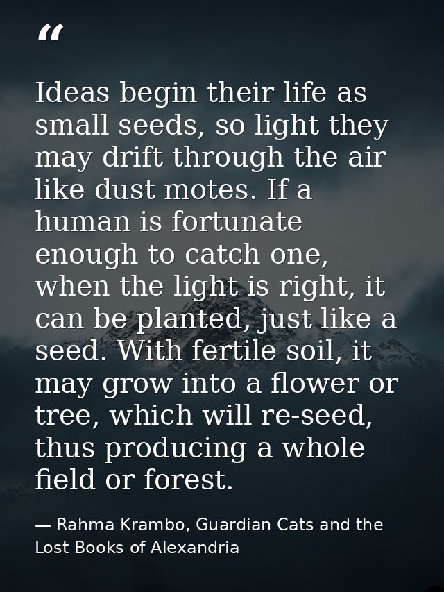 Ideas begin their life as small seeds, so light they may drift through the air like dust motes. If a human is fortunate  — Rahma Krambo, Guardian Cats and the Lost Books of Alexandria