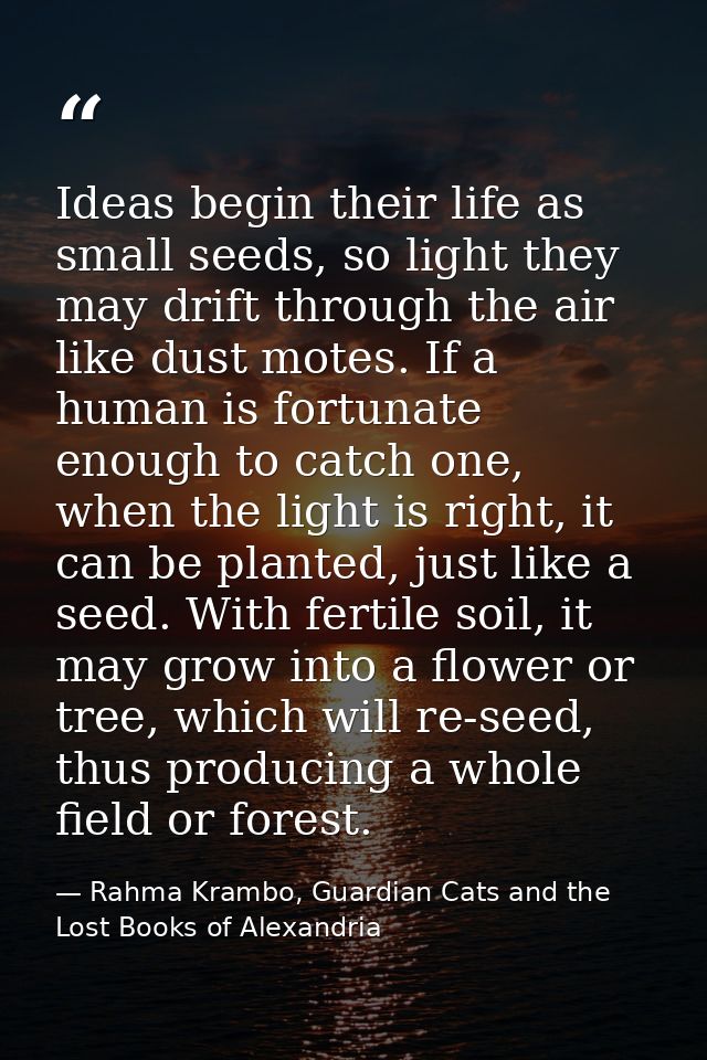 Ideas begin their life as small seeds, so light they may drift through the air like dust motes. If a human is fortunate  — Rahma Krambo, Guardian Cats and the Lost Books of Alexandria