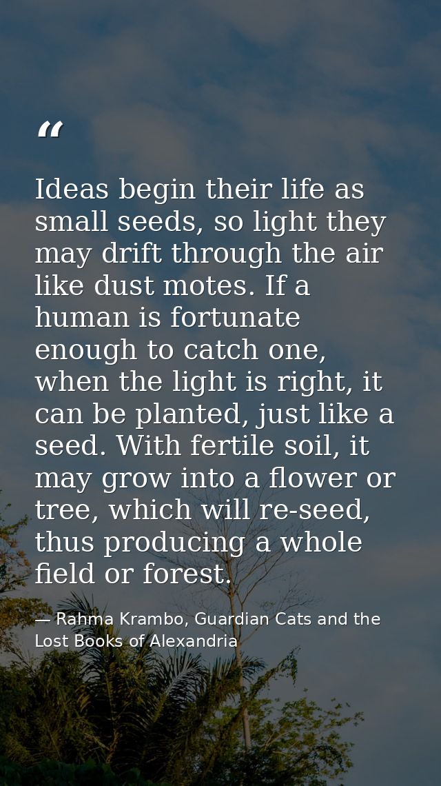 Ideas begin their life as small seeds, so light they may drift through the air like dust motes. If a human is fortunate  — Rahma Krambo, Guardian Cats and the Lost Books of Alexandria