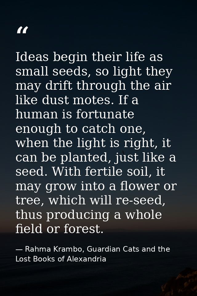 Ideas begin their life as small seeds, so light they may drift through the air like dust motes. If a human is fortunate  — Rahma Krambo, Guardian Cats and the Lost Books of Alexandria