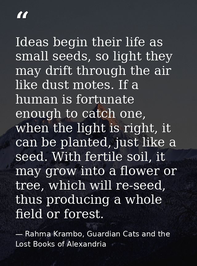Ideas begin their life as small seeds, so light they may drift through the air like dust motes. If a human is fortunate  — Rahma Krambo, Guardian Cats and the Lost Books of Alexandria