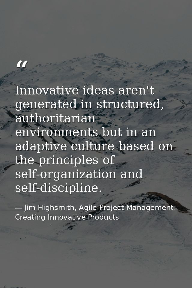 Innovative ideas aren't generated in structured, authoritarian environments but in an adaptive culture based on the prin — Jim Highsmith, Agile Project Management: Creating Innovative Products