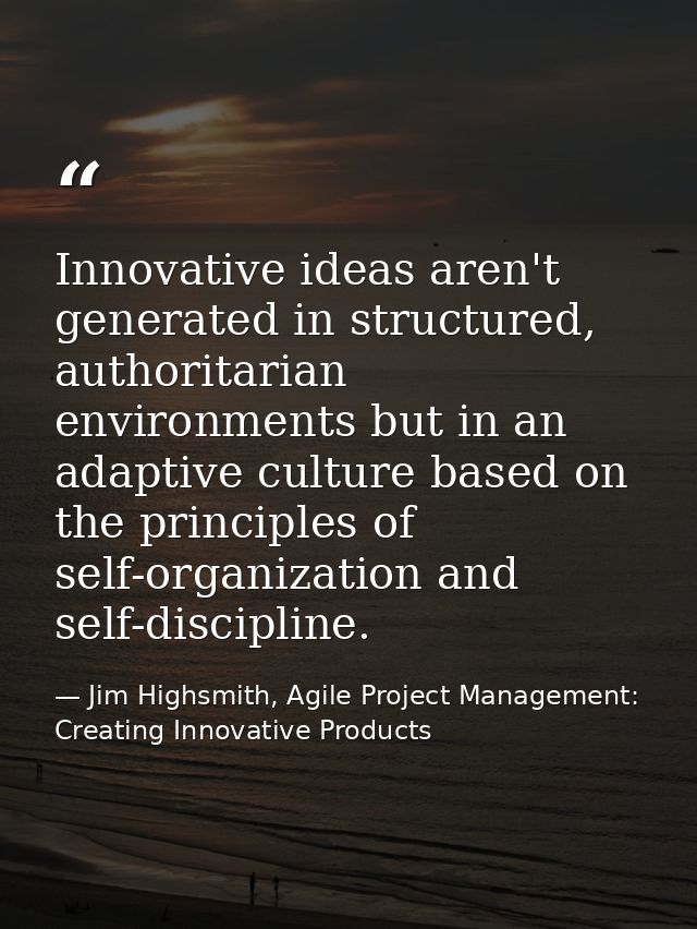 Innovative ideas aren't generated in structured, authoritarian environments but in an adaptive culture based on the prin — Jim Highsmith, Agile Project Management: Creating Innovative Products