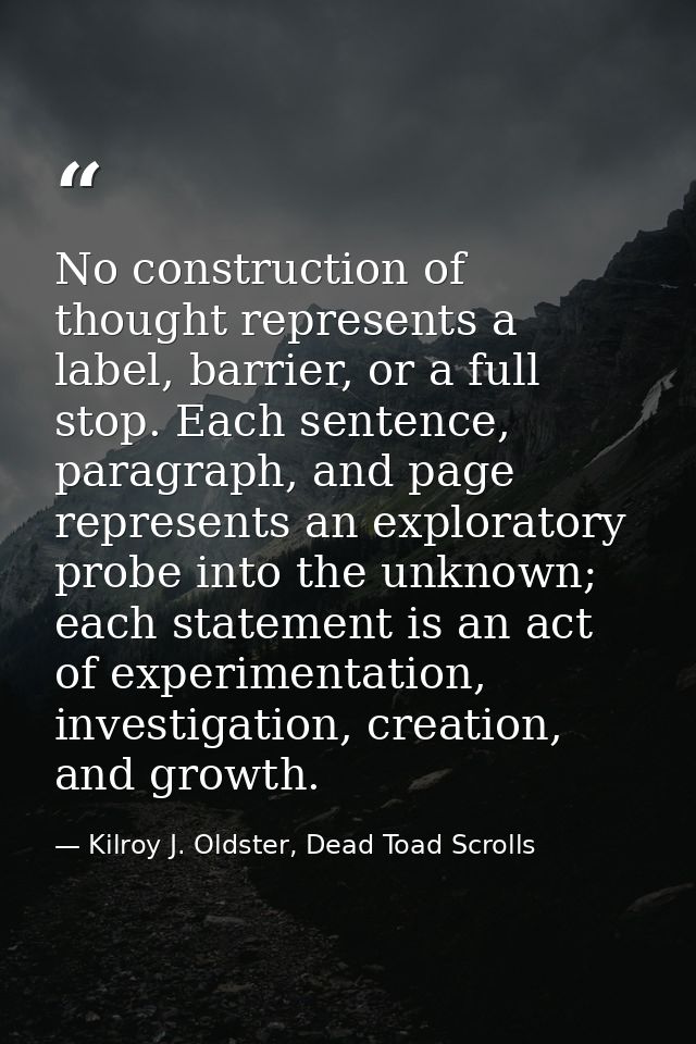 No construction of thought represents a label, barrier, or a full stop. Each sentence, paragraph, and page represents an — Kilroy J. Oldster, Dead Toad Scrolls