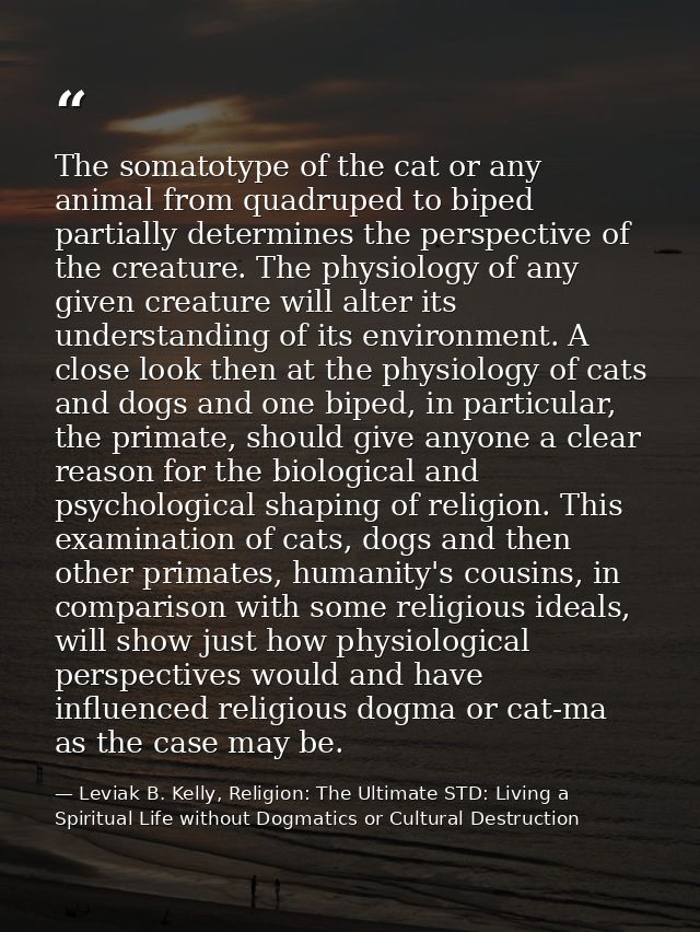 The somatotype of the cat or any animal from quadruped to biped partially determines the perspective of the creature. Th — Leviak B. Kelly, Religion: The Ultimate STD: Living a Spiritual Life without Dogmatics or Cultural Destruction