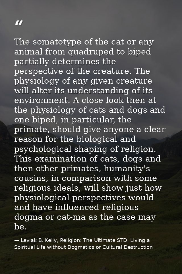 The somatotype of the cat or any animal from quadruped to biped partially determines the perspective of the creature. Th — Leviak B. Kelly, Religion: The Ultimate STD: Living a Spiritual Life without Dogmatics or Cultural Destruction