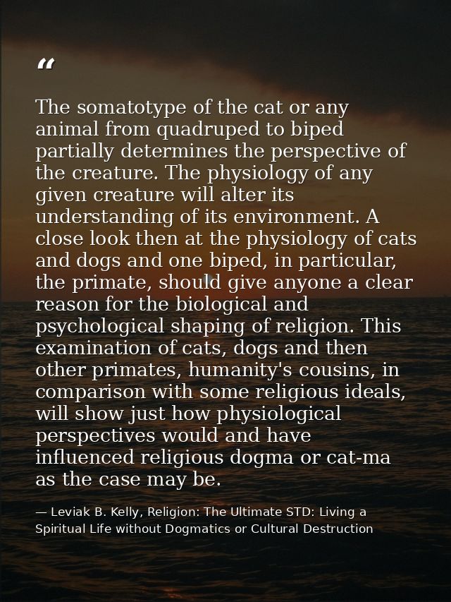 The somatotype of the cat or any animal from quadruped to biped partially determines the perspective of the creature. Th — Leviak B. Kelly, Religion: The Ultimate STD: Living a Spiritual Life without Dogmatics or Cultural Destruction
