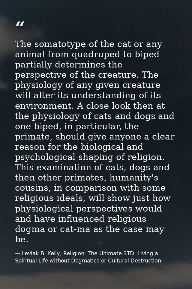 The somatotype of the cat or any animal from quadruped to biped partially determines the perspective of the creature. Th — Leviak B. Kelly, Religion: The Ultimate STD: Living a Spiritual Life without Dogmatics or Cultural Destruction