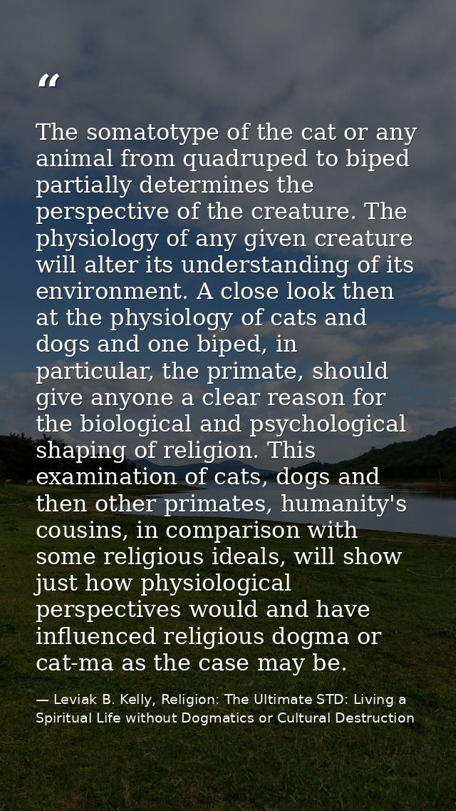 The somatotype of the cat or any animal from quadruped to biped partially determines the perspective of the creature. Th — Leviak B. Kelly, Religion: The Ultimate STD: Living a Spiritual Life without Dogmatics or Cultural Destruction