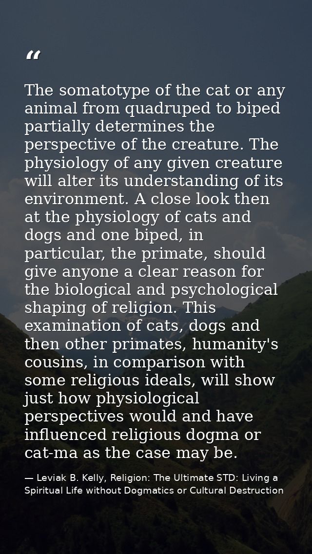 The somatotype of the cat or any animal from quadruped to biped partially determines the perspective of the creature. Th — Leviak B. Kelly, Religion: The Ultimate STD: Living a Spiritual Life without Dogmatics or Cultural Destruction