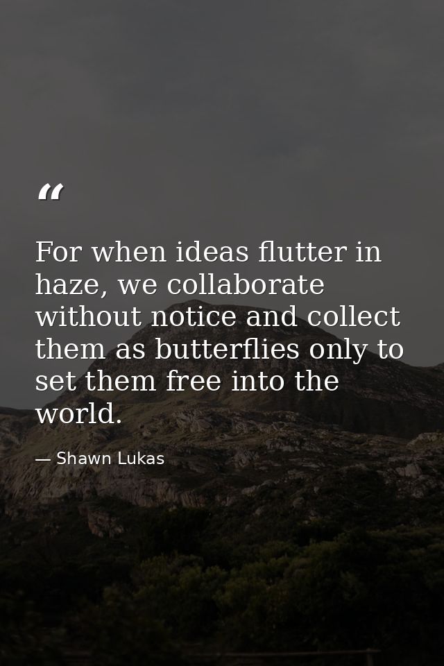 For when ideas flutter in haze, we collaborate without notice and collect them as butterflies only to set them free into — Shawn Lukas