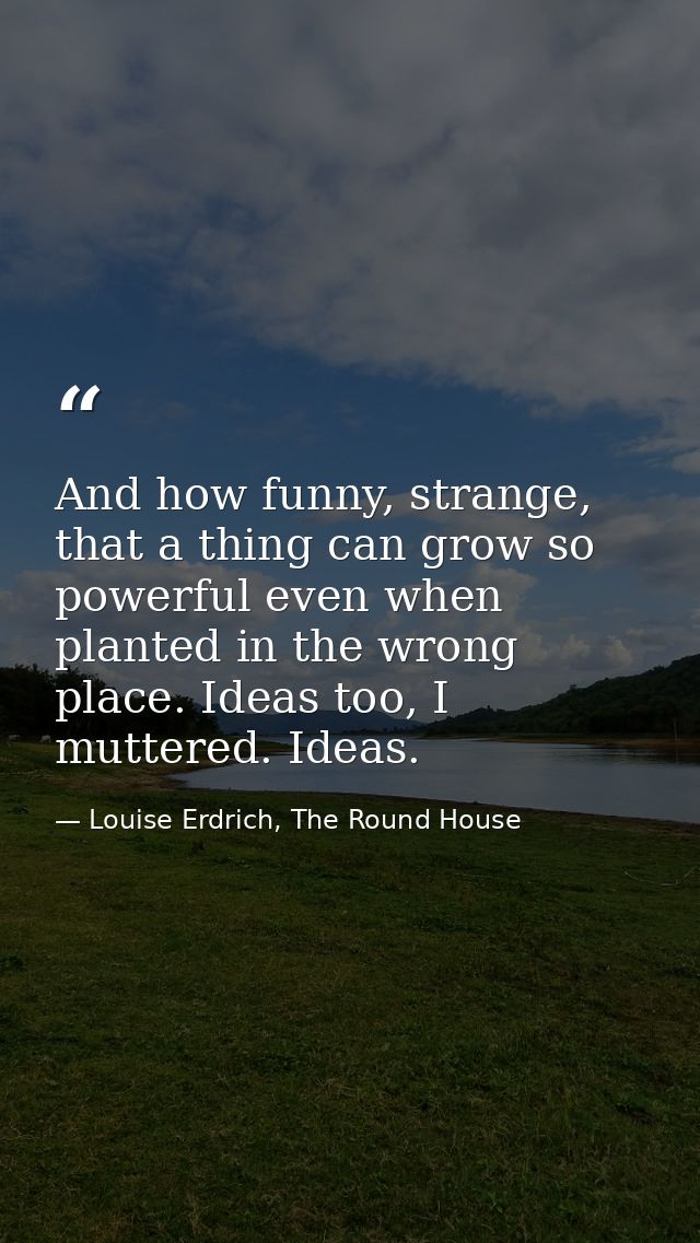 And how funny, strange, that a thing can grow so powerful even when planted in the wrong place. Ideas too, I muttered. I — Louise Erdrich, The Round House