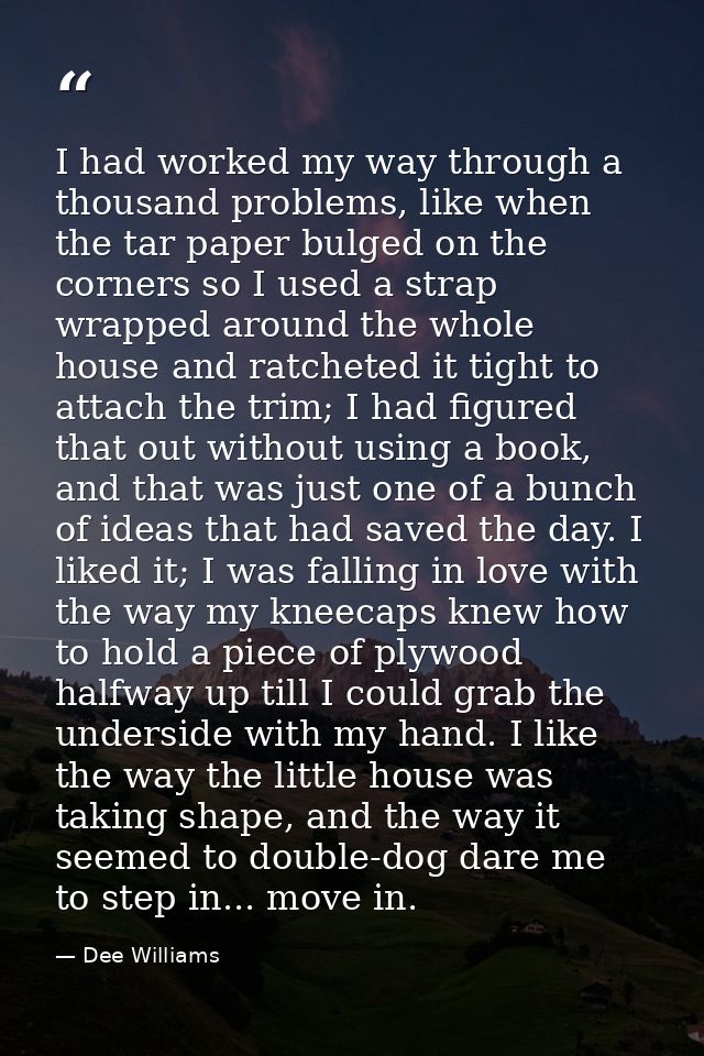 I had worked my way through a thousand problems, like when the tar paper bulged on the corners so I used a strap wrapped — Dee Williams