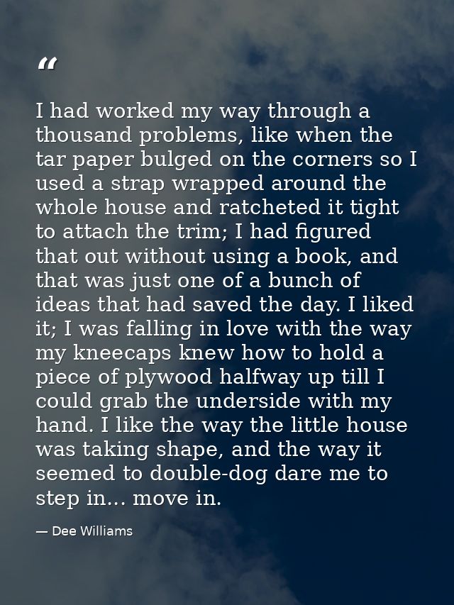 I had worked my way through a thousand problems, like when the tar paper bulged on the corners so I used a strap wrapped — Dee Williams