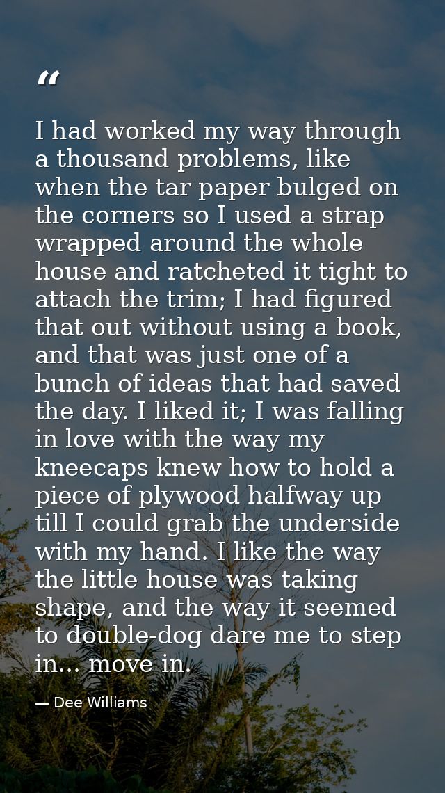 I had worked my way through a thousand problems, like when the tar paper bulged on the corners so I used a strap wrapped — Dee Williams