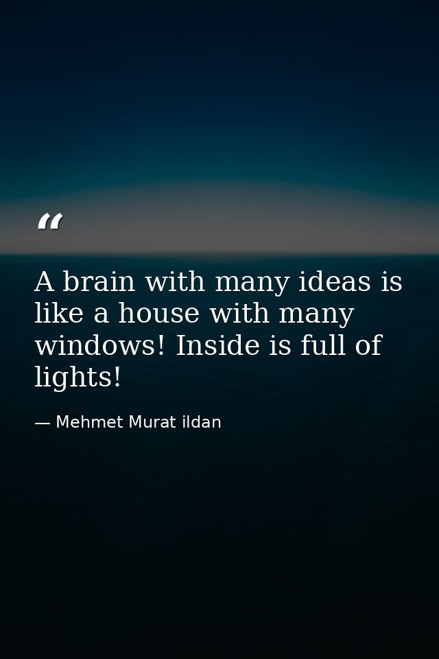 A brain with many ideas is like a house with many windows! Inside is full of lights! — Mehmet Murat ildan
