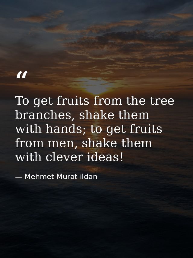 To get fruits from the tree branches, shake them with hands; to get fruits from men, shake them with clever ideas! — Mehmet Murat ildan