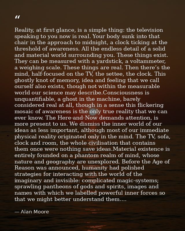 Reality, at first glance, is a simple thing: the television speaking to you now is real. Your body sunk into that chair  — Alan Moore