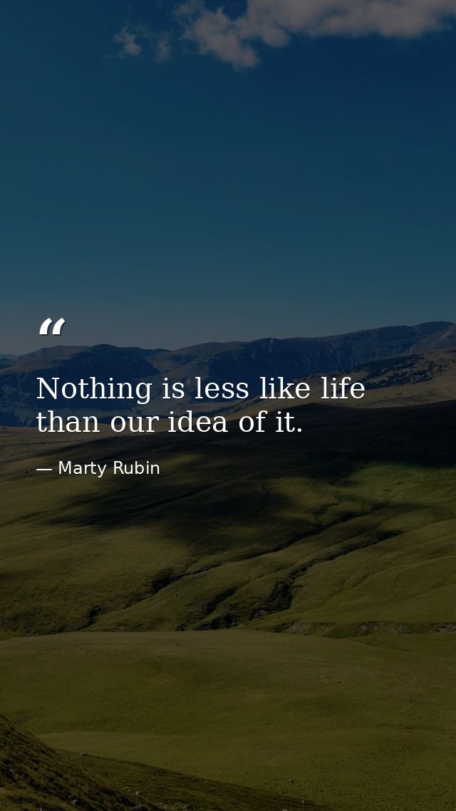 Nothing is less like life than our idea of it. — Marty Rubin