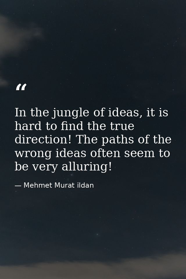 In the jungle of ideas, it is hard to find the true direction! The paths of the wrong ideas often seem to be very alluri — Mehmet Murat ildan
