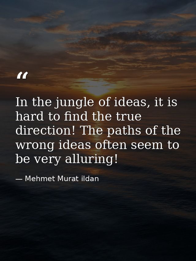 In the jungle of ideas, it is hard to find the true direction! The paths of the wrong ideas often seem to be very alluri — Mehmet Murat ildan