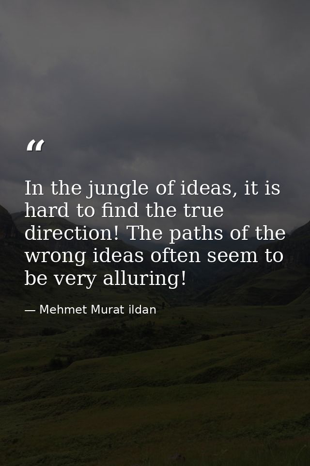 In the jungle of ideas, it is hard to find the true direction! The paths of the wrong ideas often seem to be very alluri — Mehmet Murat ildan