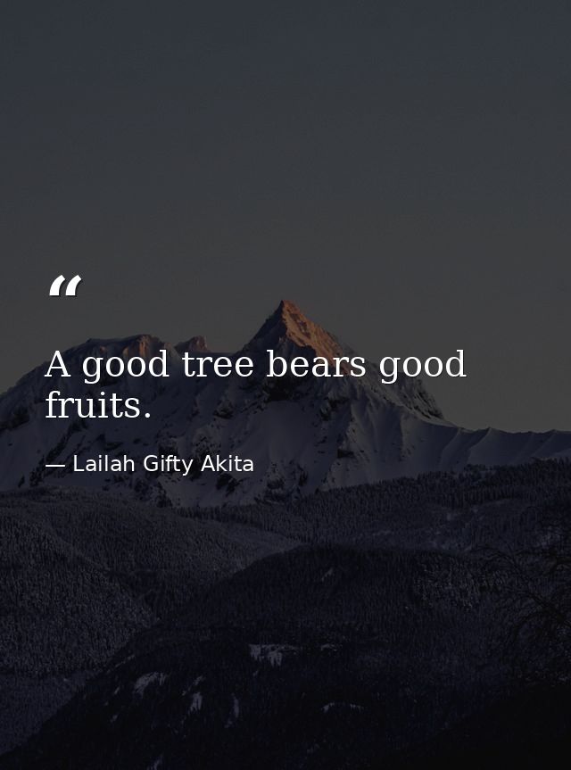 A good tree bears good fruits. — Lailah Gifty Akita