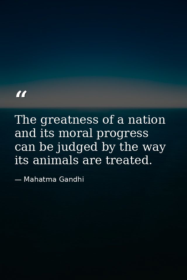 The greatness of a nation and its moral progress can be judged by the way its animals are treated. — Mahatma Gandhi