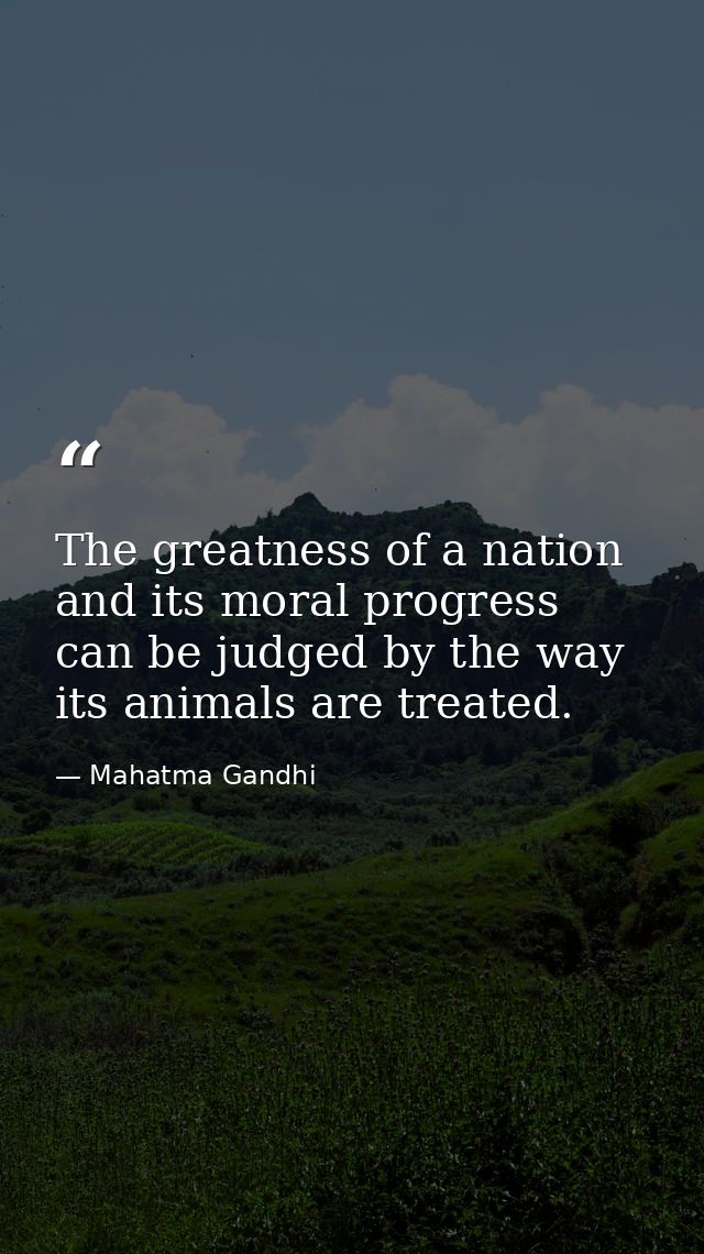 The greatness of a nation and its moral progress can be judged by the way its animals are treated. — Mahatma Gandhi