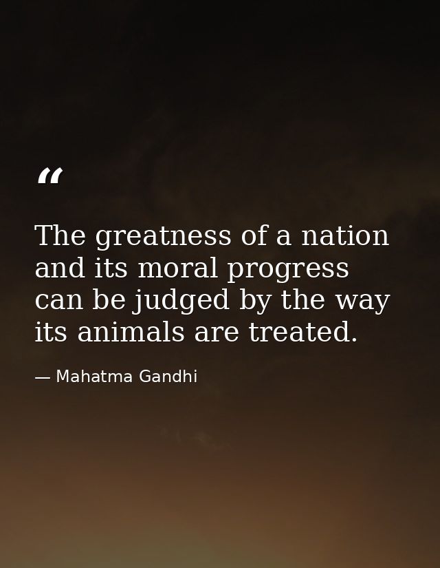The greatness of a nation and its moral progress can be judged by the way its animals are treated. — Mahatma Gandhi
