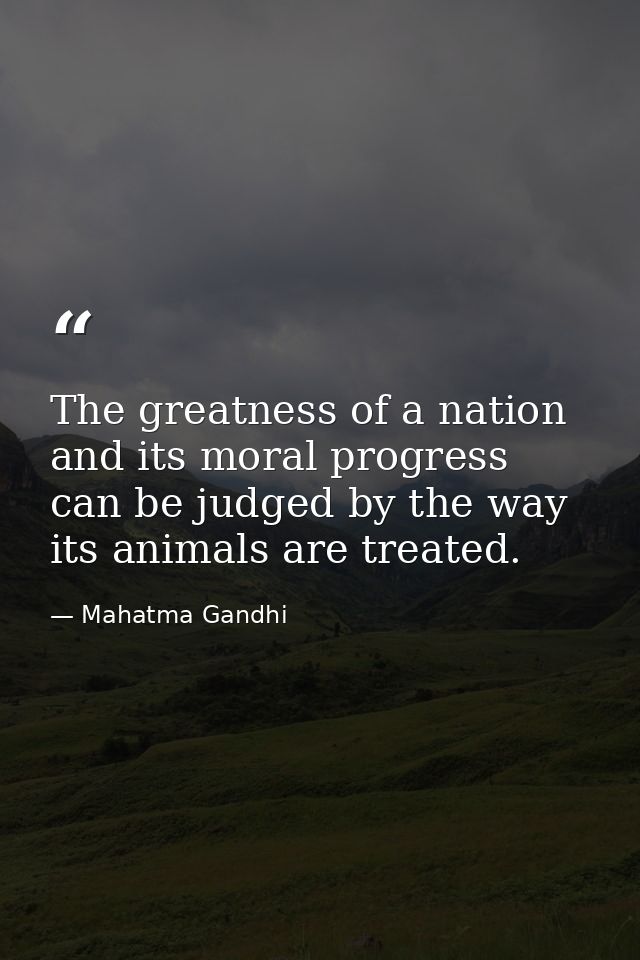 The greatness of a nation and its moral progress can be judged by the way its animals are treated. — Mahatma Gandhi