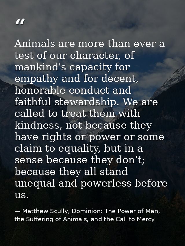 Animals are more than ever a test of our character, of mankind's capacity for empathy and for decent, honorable conduct  — Matthew Scully, Dominion: The Power of Man, the Suffering of Animals, and the Call to Mercy