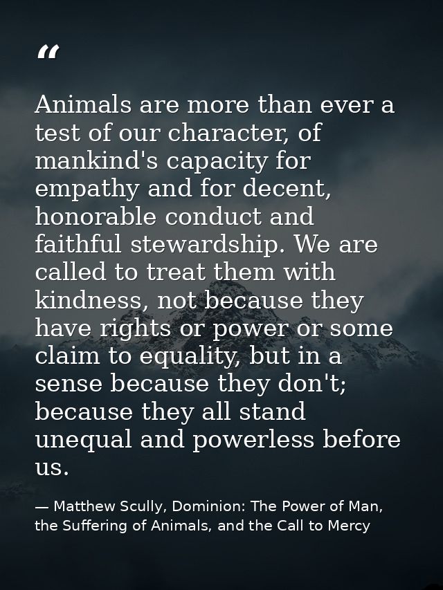 Animals are more than ever a test of our character, of mankind's capacity for empathy and for decent, honorable conduct  — Matthew Scully, Dominion: The Power of Man, the Suffering of Animals, and the Call to Mercy