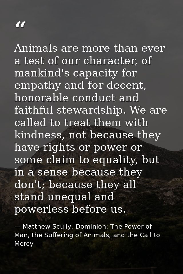 Animals are more than ever a test of our character, of mankind's capacity for empathy and for decent, honorable conduct  — Matthew Scully, Dominion: The Power of Man, the Suffering of Animals, and the Call to Mercy